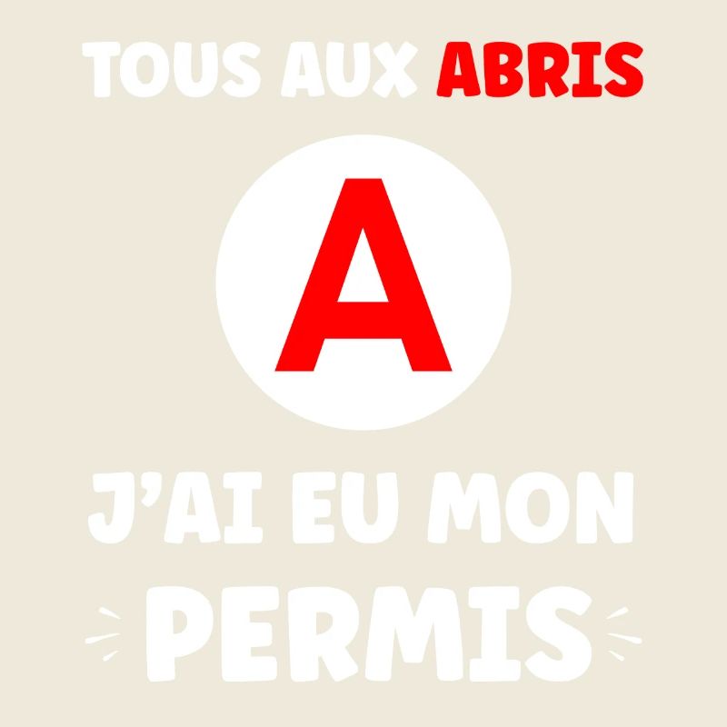 Humour j'ai mon permis de conduire