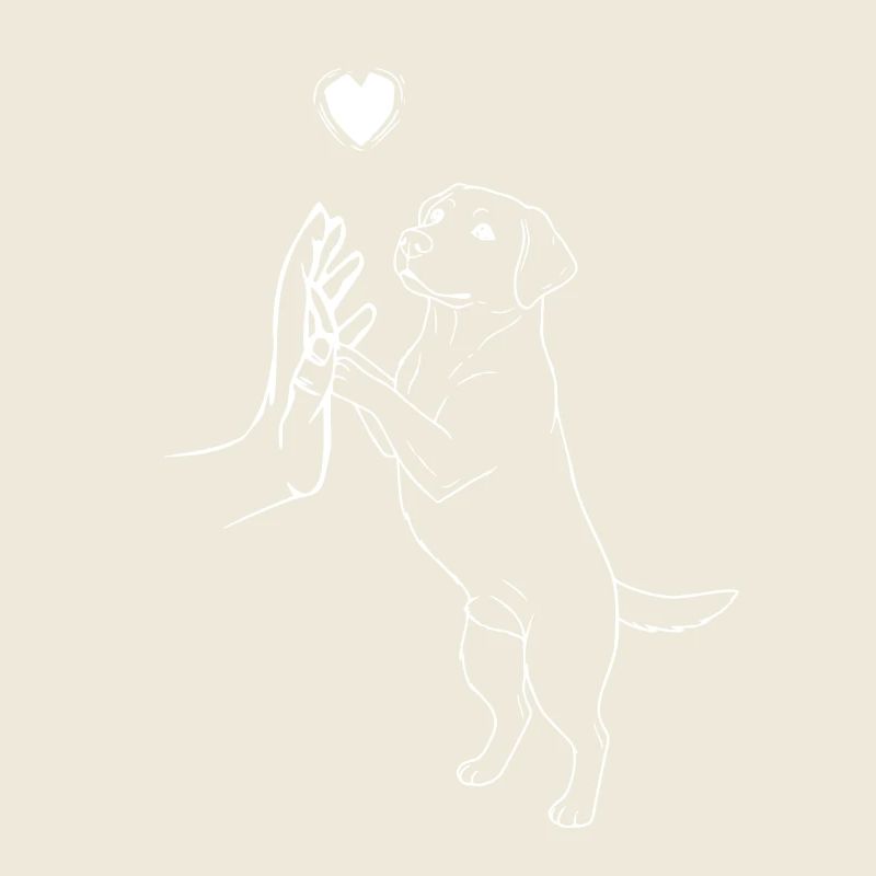 Labrador Retriever Lover Dog