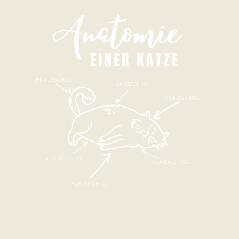 Anatomy of a cat – everything fluffy