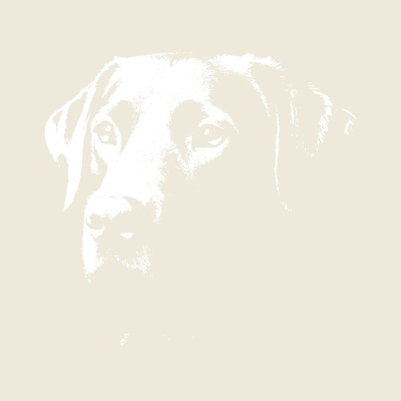 Labrador design stylé