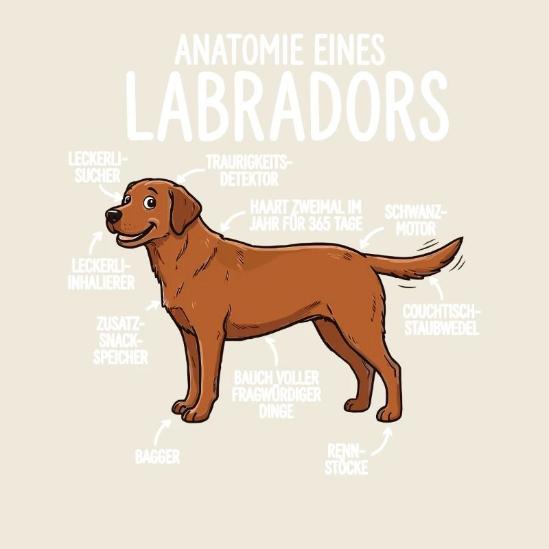 Anatomie eines Labradors – Lustiges Foxred Design