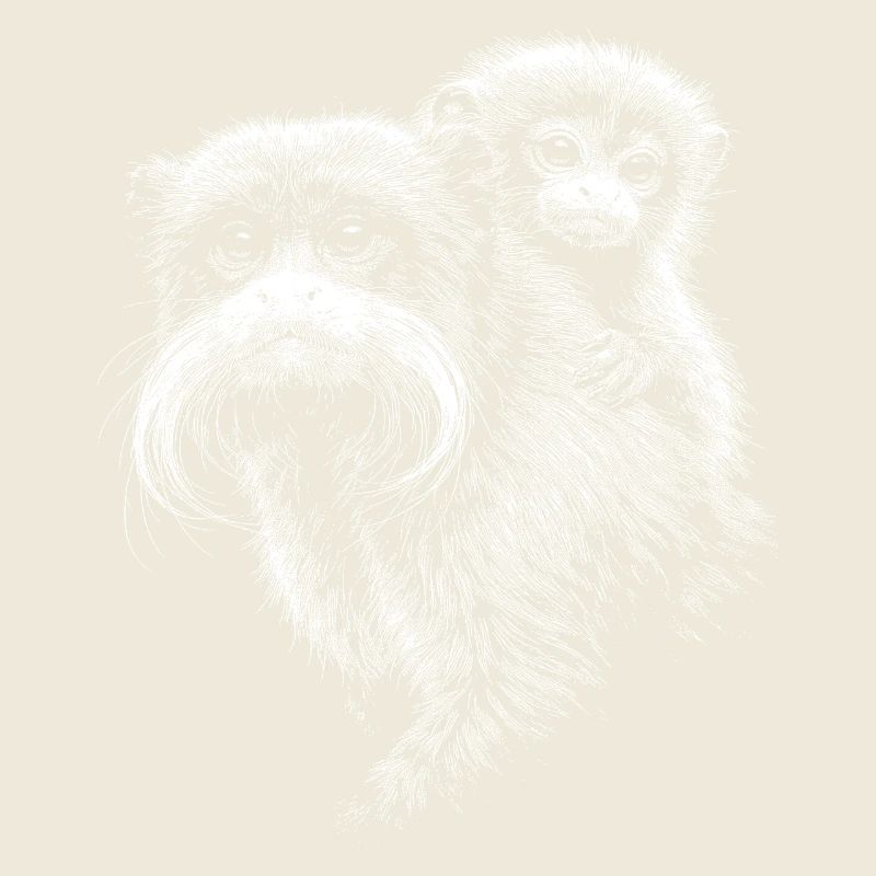 Tamarin