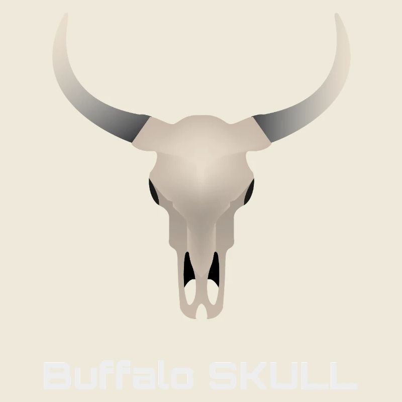Crâne Buffle