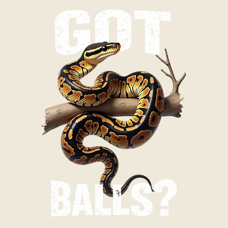 Python roi Serpents Amateurs de terrarium Python