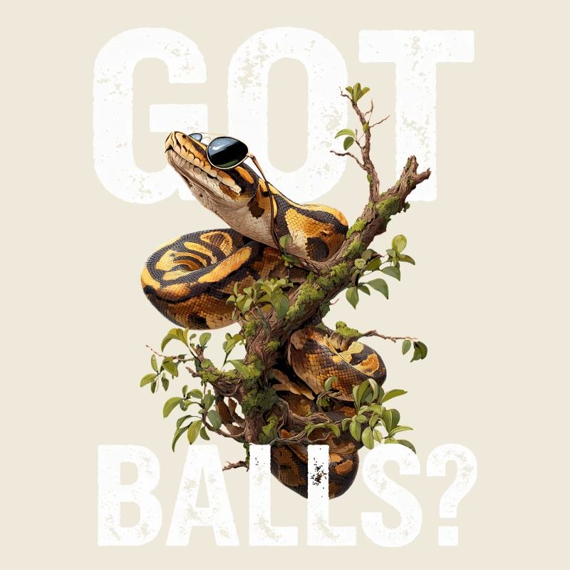 Python roi Serpents Amateurs de terrarium Python