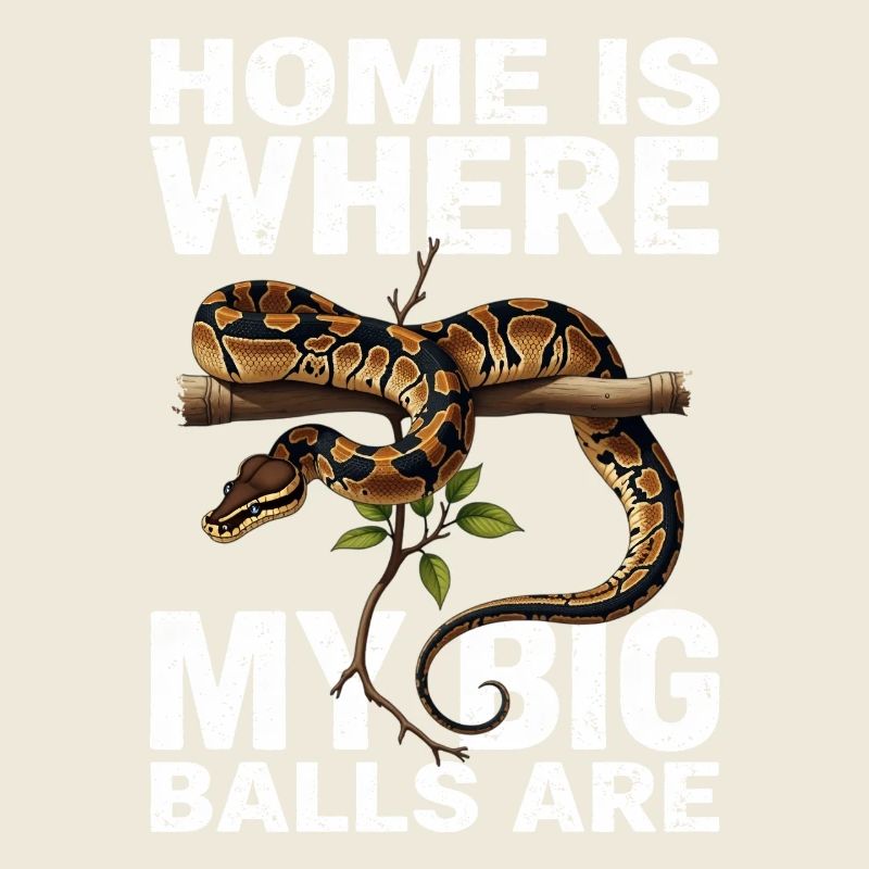 Königspython Schlangen Liebhaber Terrarium Python