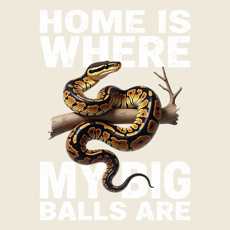 Python roi Serpents Amateurs de terrarium Python