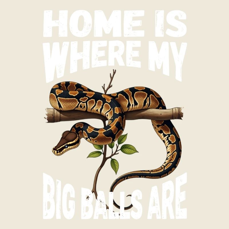 Königspython Schlangen Liebhaber Terrarium Python