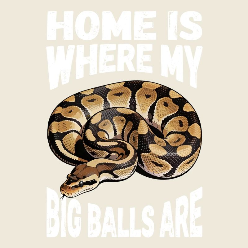 Python roi Serpents Amateurs de terrarium Python