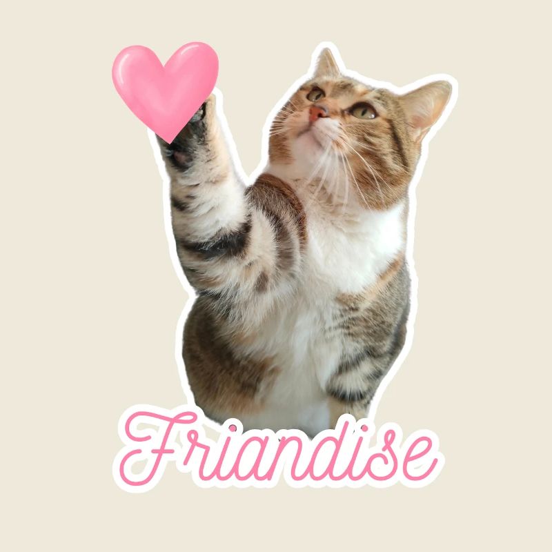 Missty check friandise