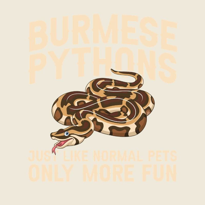 Burmesische Python liefert Schlangenliebhaber-Reptilienpfleger