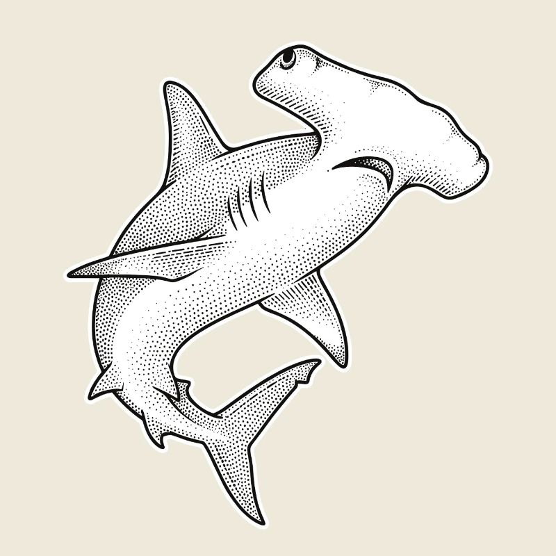Hammerhead Shark Dot Illustration