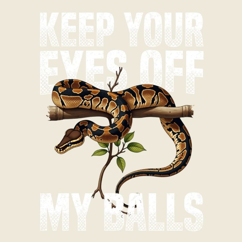 Königspython Schlangen Liebhaber Terrarium Python
