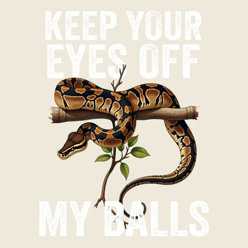 Python roi Serpents Amateurs de terrarium Python