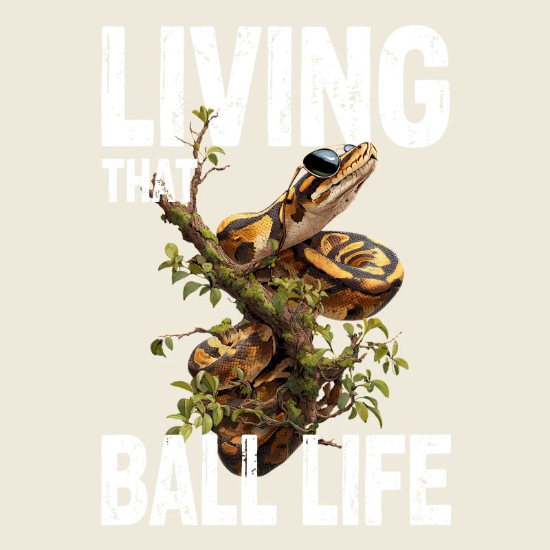 Königspython Schlangen Liebhaber Terrarium Python