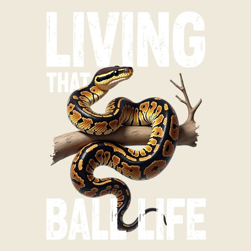 Python roi Serpents Amateurs de terrarium Python