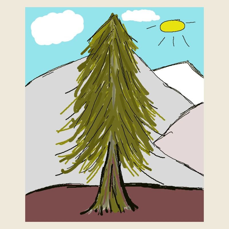 Forêt de conifères sur le soleil de la montagne