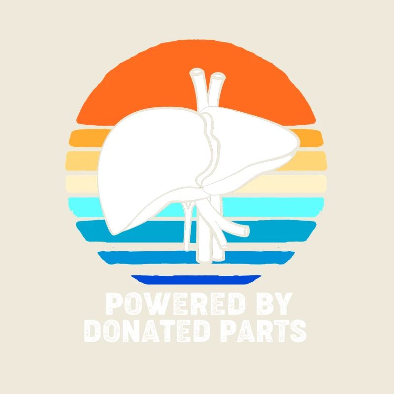 Organ Spender Leber Organspender Leberspende