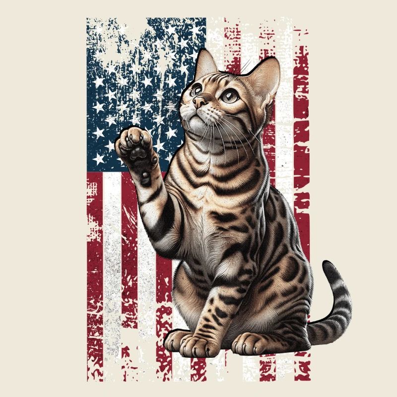 Bengal Cat US Bengalkatze