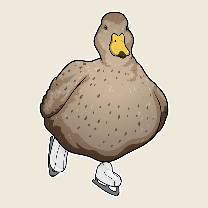 Patins à glace de canard