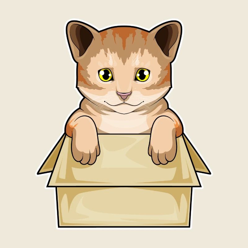 Katze Box