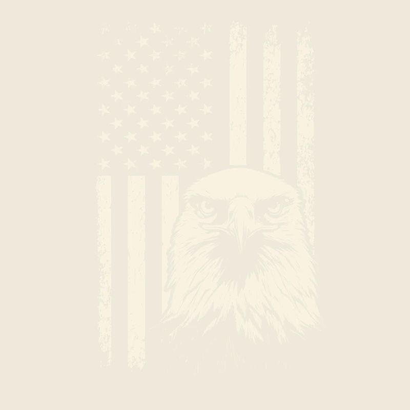 Bald Eagle View USA Pride – 4th of July Flag
