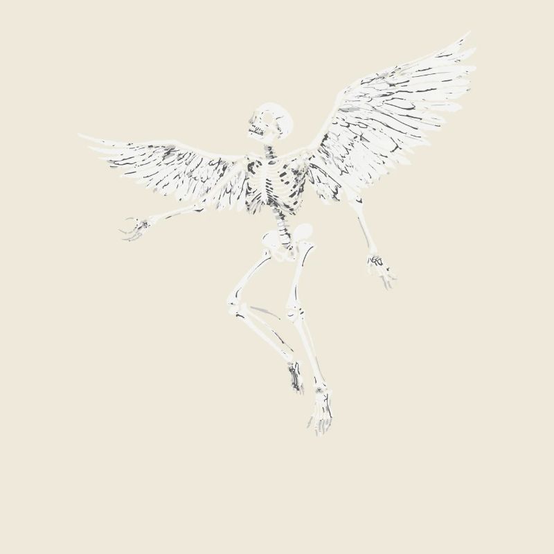 Squelette avec des ailes pour motards – Extravagant