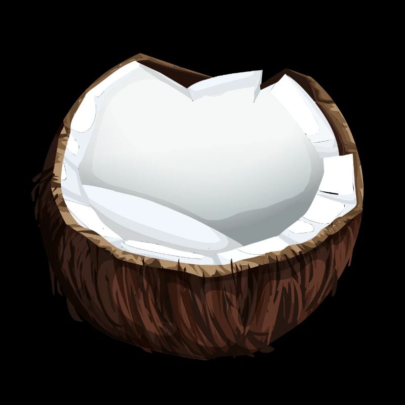 Noix de coco noix de coco fruits de noix de coco