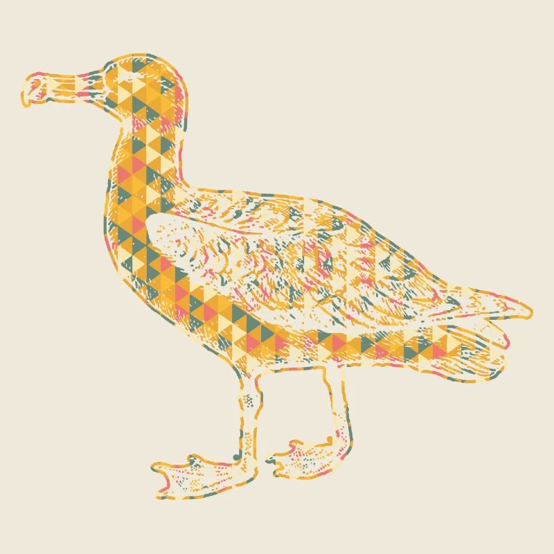 Albatross Geometric