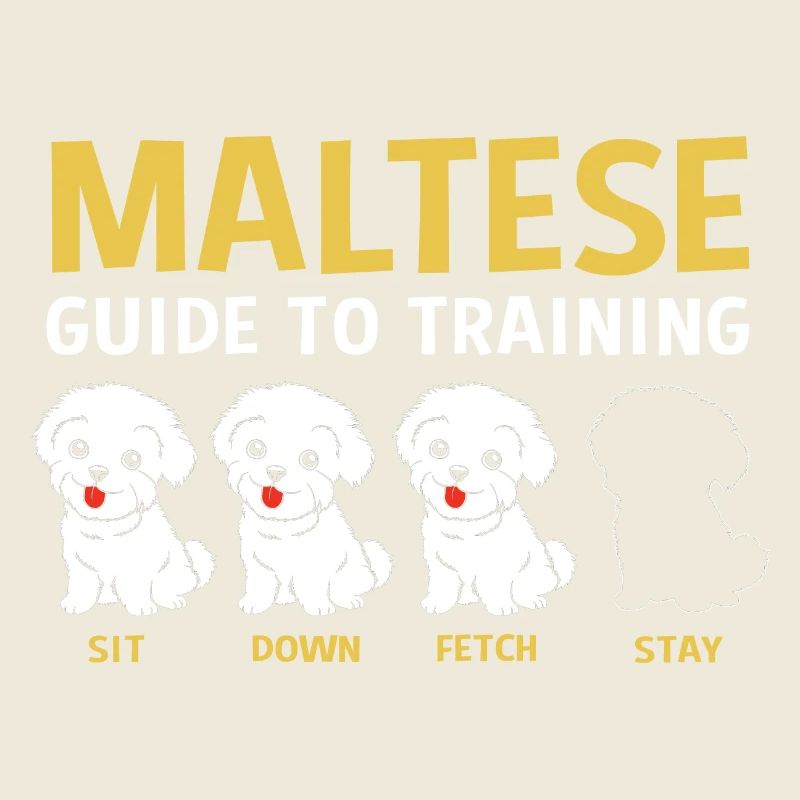 Maltese Dog