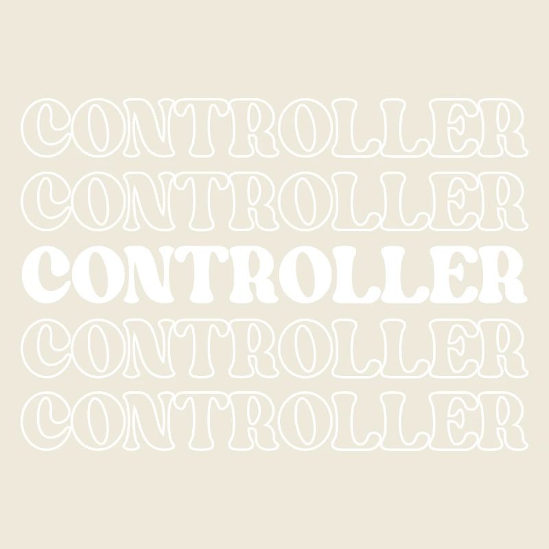 Controller Buchhalter Wirtschaftsprüfer Chief Financial