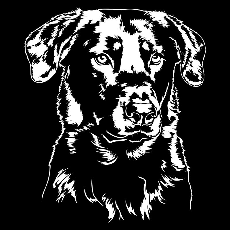 BEAUCERON Hundeportrait Hund Hund Wilsigns