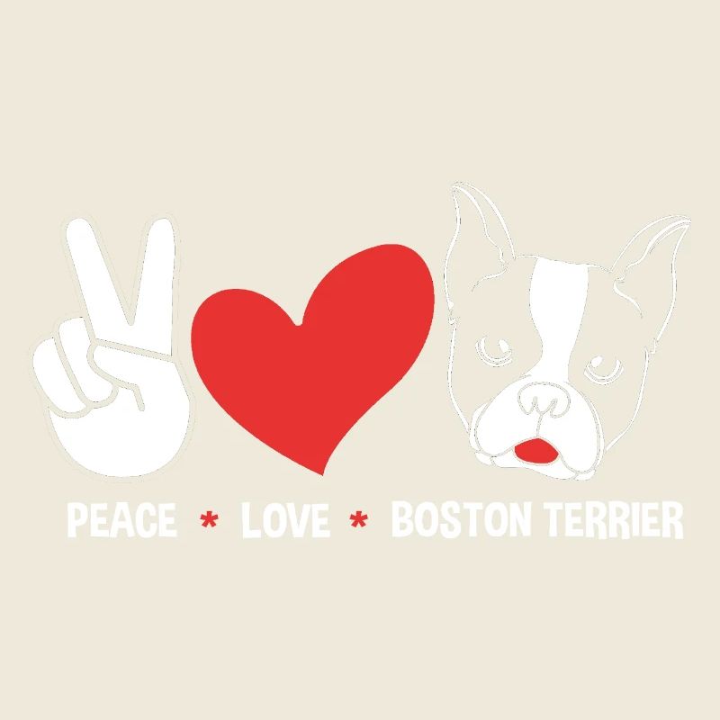 Boston Terrier
