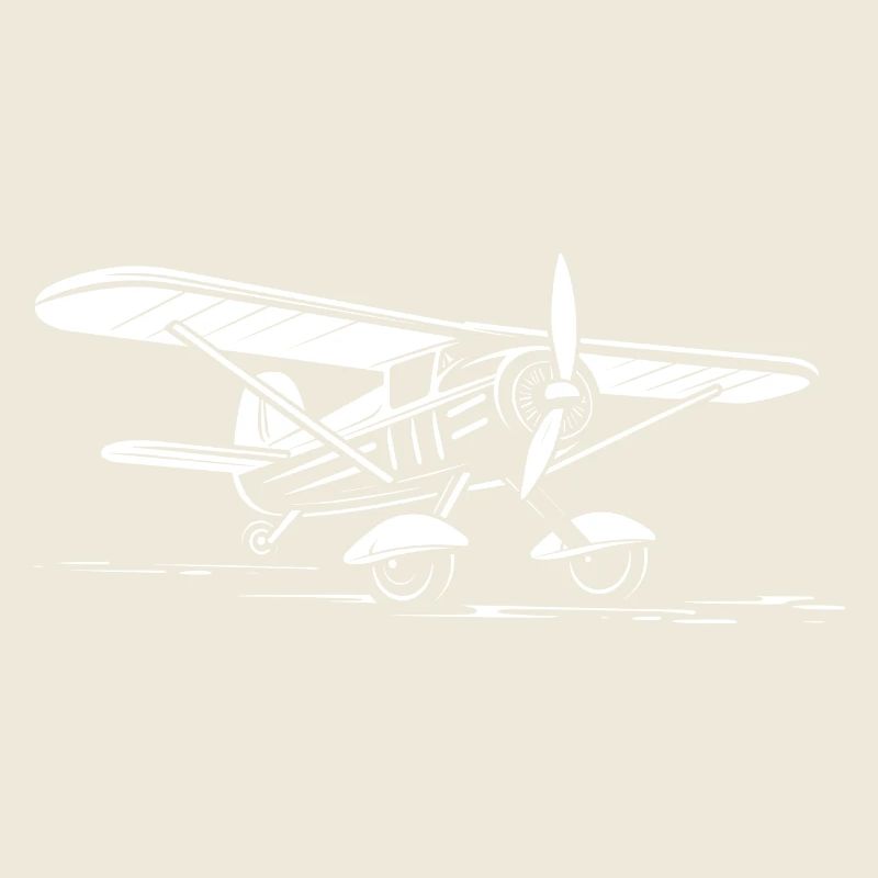 Avion ulm