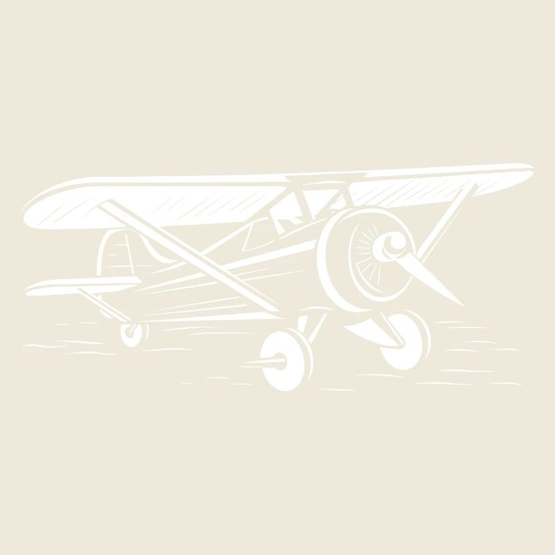 Avion ulm