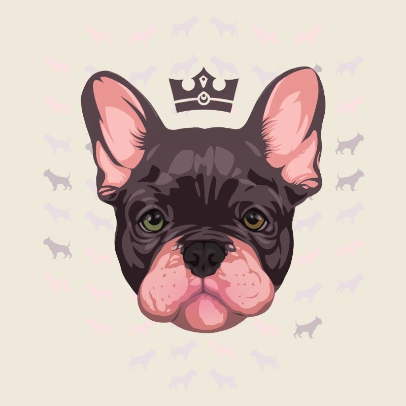 Französisch Bulldog