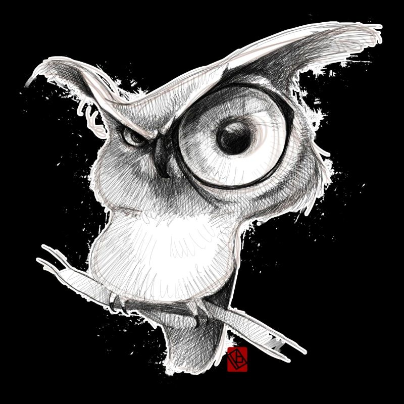 Sketchy Owl