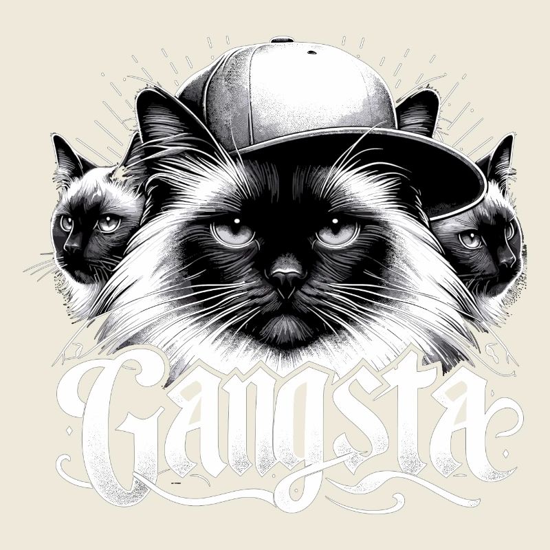 Chat Sacré de Birmanie Chat de Birmanie Trio Gangsta Gesche