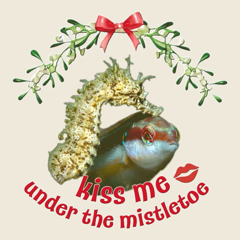 Baiser de gui – Salutations de Noël en mer