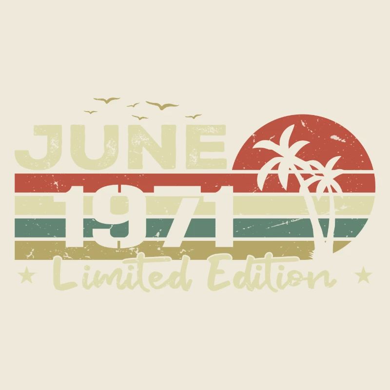 June 53rd Anniversary Vintage Born 1971 Vibe