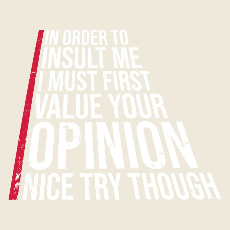 In Order To Insult I Must First Value Your Opinion