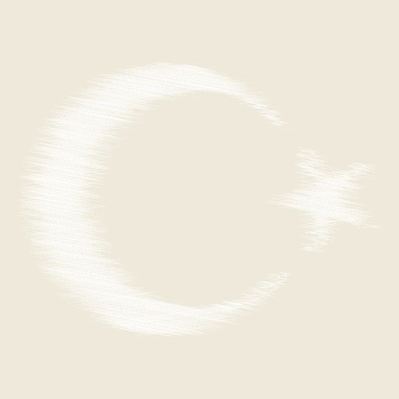 Conception de l’esquisse du drapeau de la Turquie