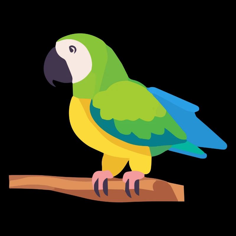 Parrot colorful macaw bird on branch