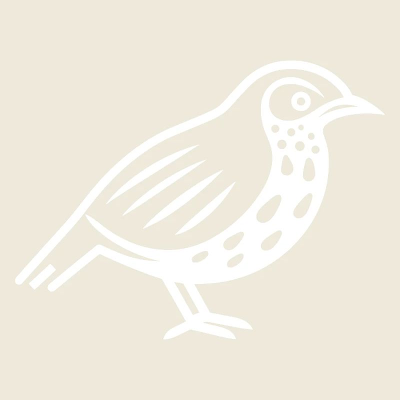 cailles petit oiseau caille