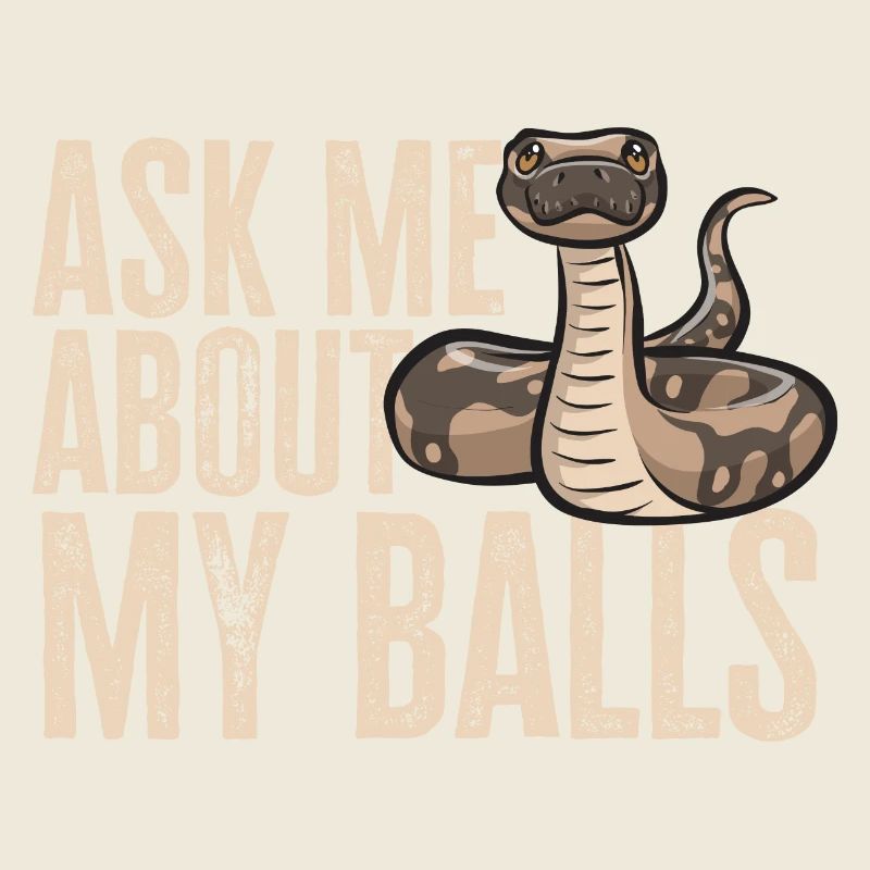 Ball Python Schlange Königspython