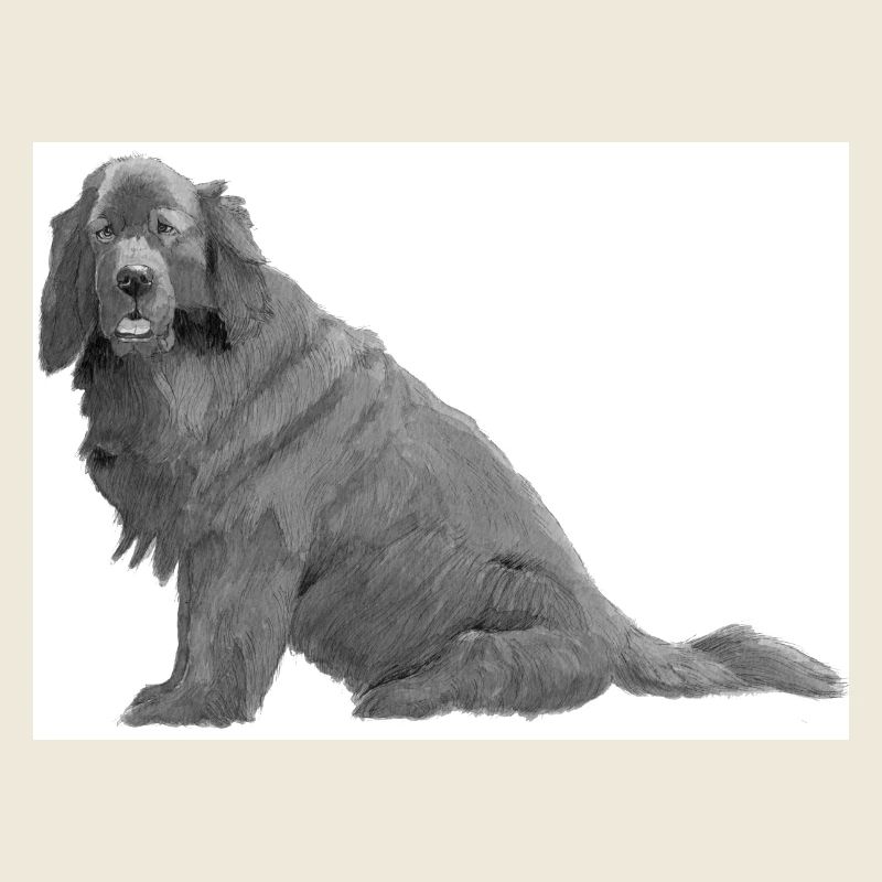 Neuer Foundland Aufkleber