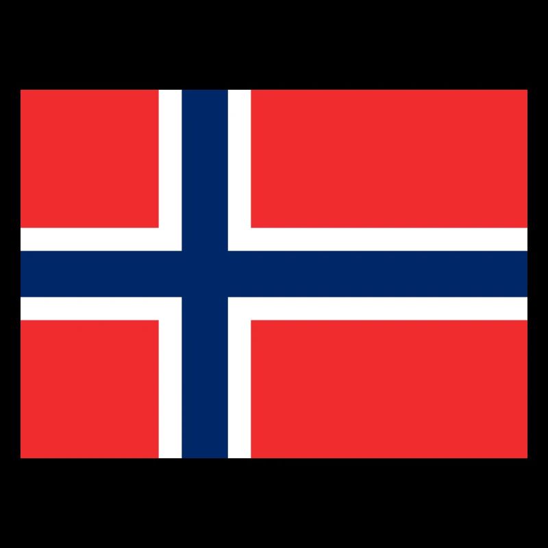 Norway Flag Flag