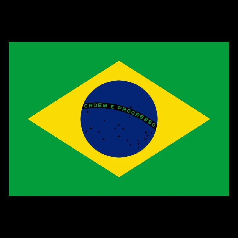 Brazil flag / Drapeau Brésil