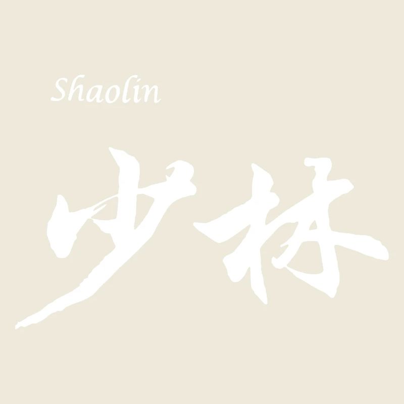 SHAOLIN - CHINA - MARTIAL ARTS KUNG FU