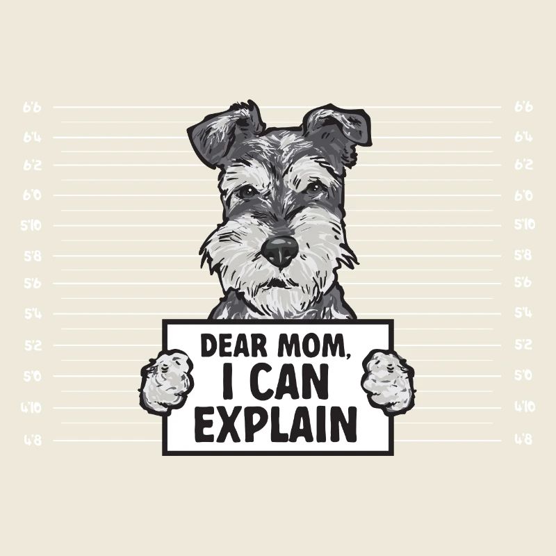 Schnauzer nain Chien Schnauzer
